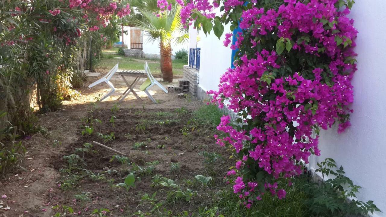 อัลฟา อพาร์ท โอเทล Aparthotel Bodrum ภายนอก รูปภาพ